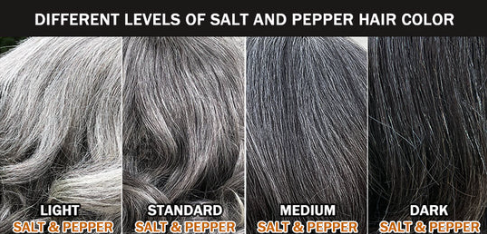 Raw HD Closure Salt and Pepper Wig