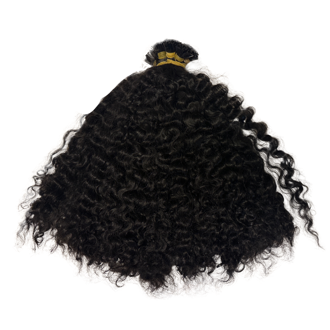 Burmese Curly Mini K Tip