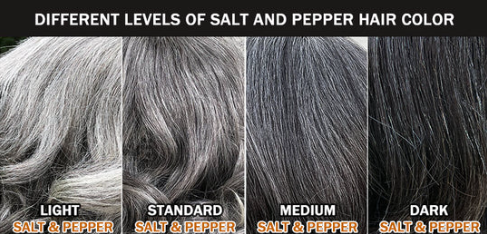 Raw HD Closure  Salt and Pepper Wig